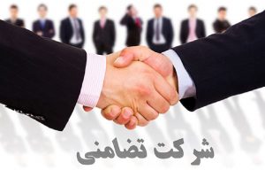 انواع حساب ها در شرکت تضامنی